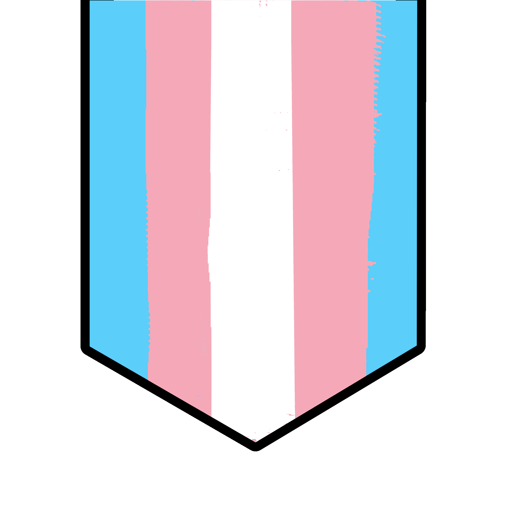 Custom Trans Flag, created from scratch by Ari